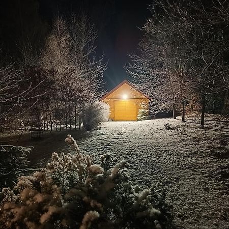 Villa Lupus - Apartament Z Prywatna Sauna Szklarska Poręba Exteriör bild