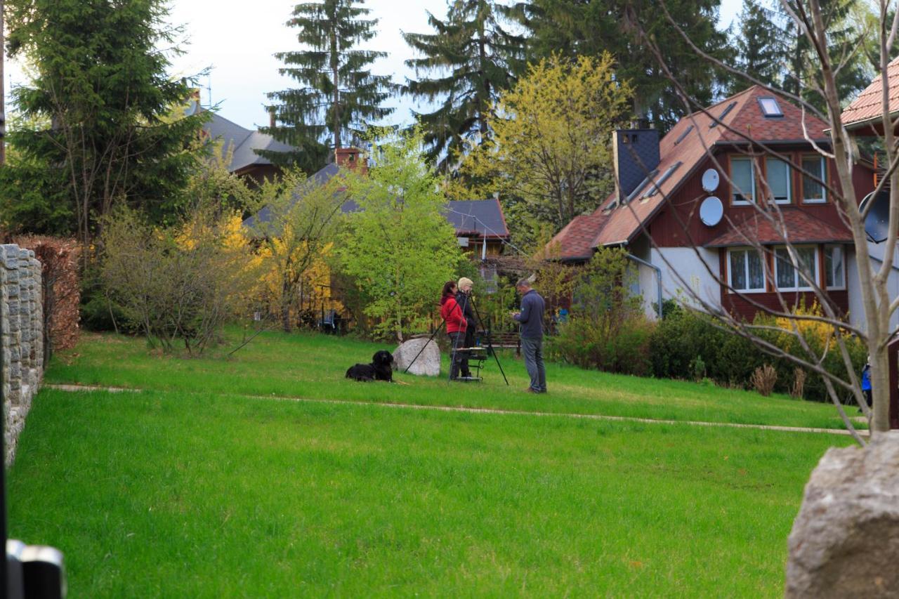 Villa Lupus - Apartament Z Prywatna Sauna Szklarska Poręba Exteriör bild