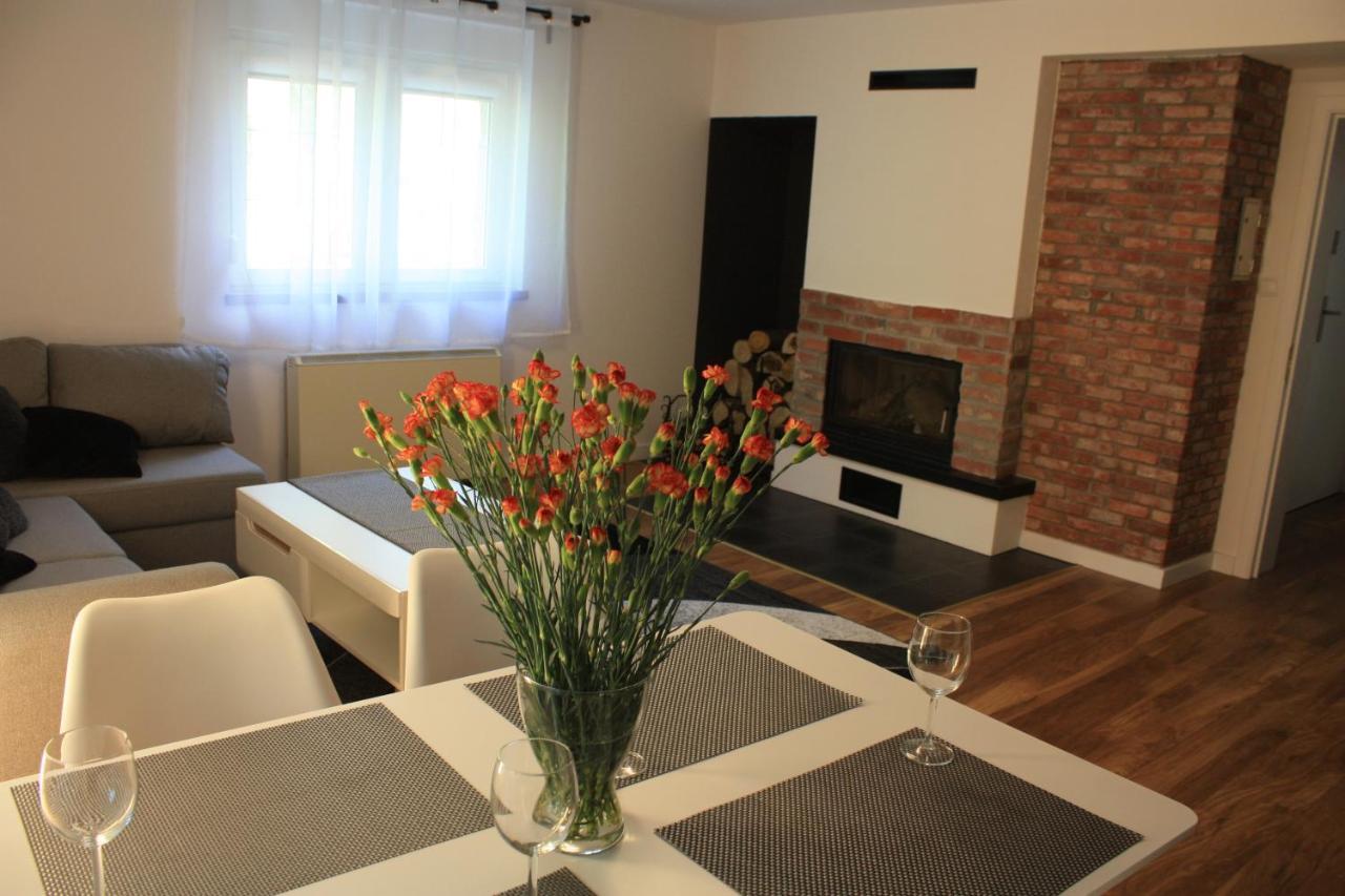 Villa Lupus - Apartament Z Prywatna Sauna Szklarska Poręba Exteriör bild
